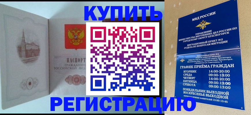 договорные гарантии оформления регистрации в Камышине